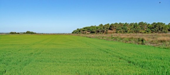 3909m² Land in Alcacer do Sal, Portugal No. 132448 14