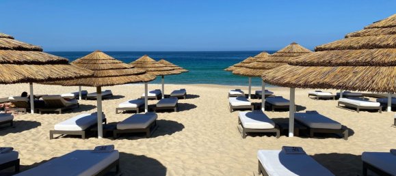 3909m² Land in Alcacer do Sal, Portugal No. 132448 13