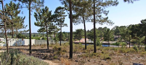 3909m² Land in Alcacer do Sal, Portugal No. 132448 11