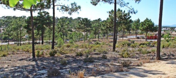 3909m² Land in Alcacer do Sal, Portugal No. 132448 12