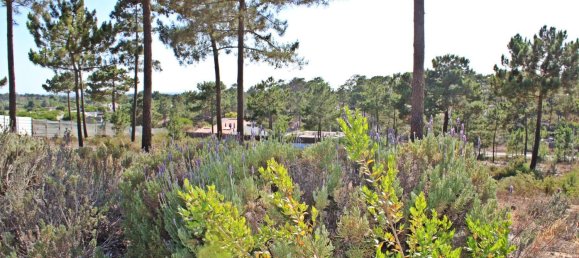 3909m² Land in Alcacer do Sal, Portugal No. 132448 10