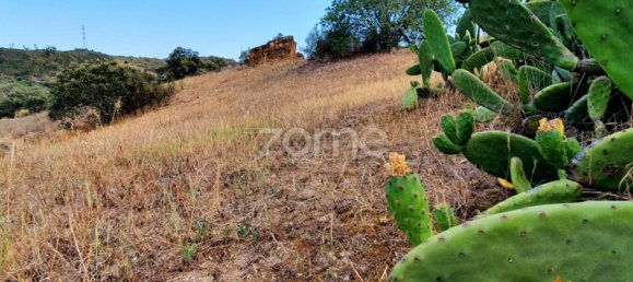 298m² Land in Sao Bartolomeu de Messines, Portugal No. 48538 8