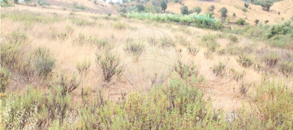 Terrain à Silves, Portugal 2935m² No. 49734 5