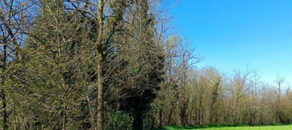 Terrain à Robecchetto con Induno, Italy 15330m² No. 268926 5