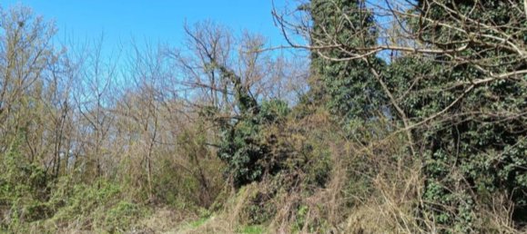 Terrain à Robecchetto con Induno, Italy 15330m² No. 268926 3