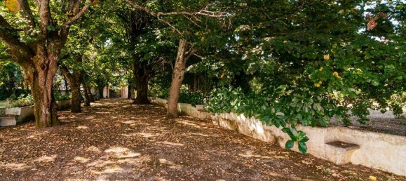 Terreno T8 em Lousã, Portugal N.º 118479 32