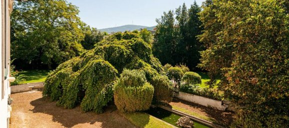 Terreno T8 em Lousã, Portugal N.º 118479 43