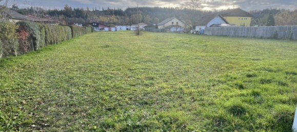 Terrain à Weisskirchen an der Traun, Austria No. 127932 4