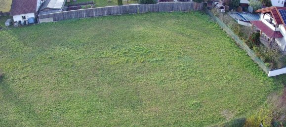 Terrain à Weisskirchen an der Traun, Austria No. 127932 2