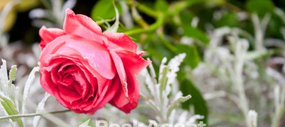 2 chambres Appartement à Vetralla, Italy No. 290291 15