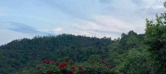 3-Zimmer Haus in Carrara, Italy, Nr. 309068 13