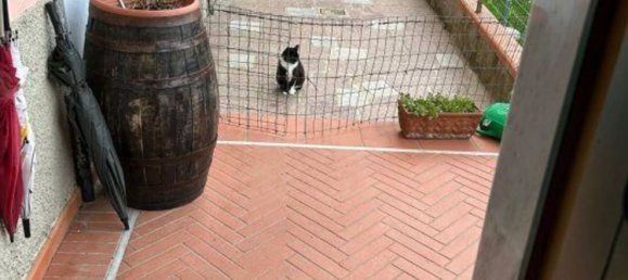 3-Zimmer Haus in Carrara, Italy, Nr. 309068 27