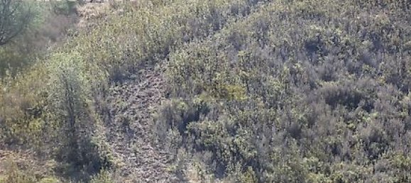 282m² Land in Mexilhoeira Grande, Portugal No. 38923 35