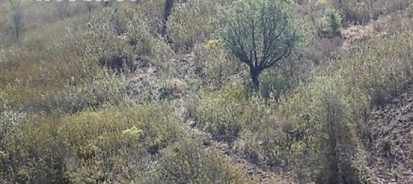 282m² Land in Mexilhoeira Grande, Portugal No. 38923 34