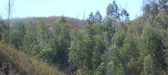 282m² Land in Mexilhoeira Grande, Portugal No. 38923 6