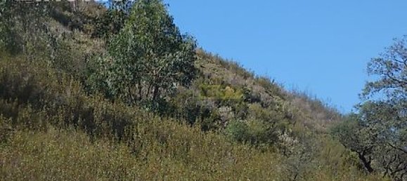 282m² Land in Mexilhoeira Grande, Portugal No. 38923 10