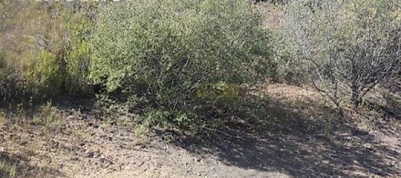 282m² Land in Mexilhoeira Grande, Portugal No. 38923 25