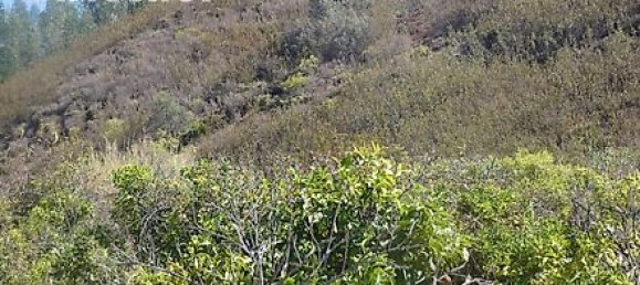 282m² Land in Mexilhoeira Grande, Portugal No. 38923 23