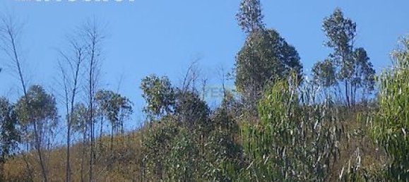 282m² Land in Mexilhoeira Grande, Portugal No. 38923 9