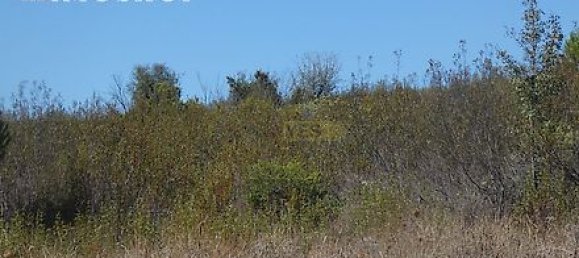 282m² Land in Mexilhoeira Grande, Portugal No. 38923 20