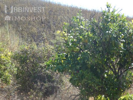 282m² Land in Mexilhoeira Grande, Portugal No. 38923
