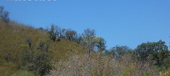 282m² Land in Mexilhoeira Grande, Portugal No. 38923 14