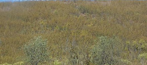 282m² Land in Mexilhoeira Grande, Portugal No. 38923 19