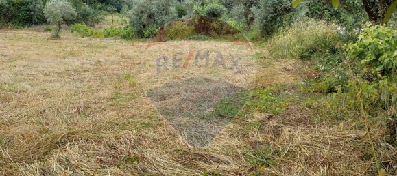 1222m² Land in Alvaiazere, Portugal No. 77600 9