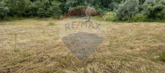 1222m² Land in Alvaiazere, Portugal No. 77600 8