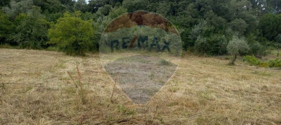 1222m² Land in Alvaiazere, Portugal No. 77600 11