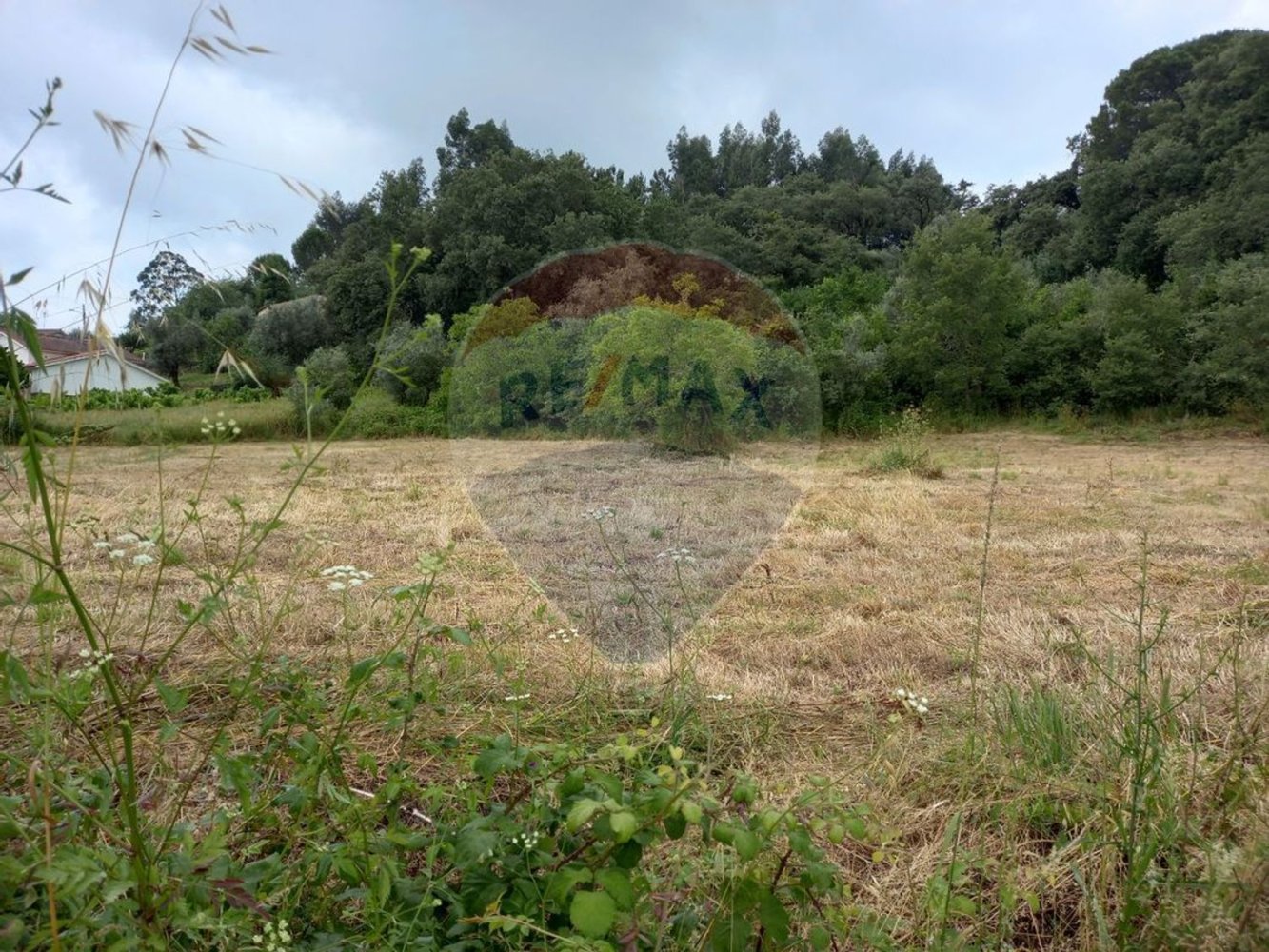 1222m² Land in Alvaiazere, Portugal No. 77600