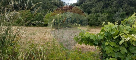 1222m² Land in Alvaiazere, Portugal No. 77600 7