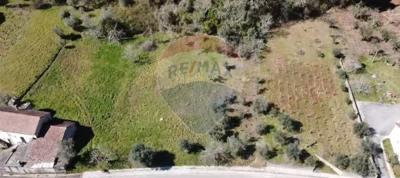 1222m² Land in Alvaiazere, Portugal No. 77600 4