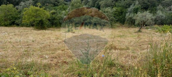 1222m² Land in Alvaiazere, Portugal No. 77600 6