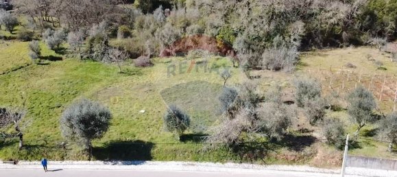 1222m² Land in Alvaiazere, Portugal No. 77600 5