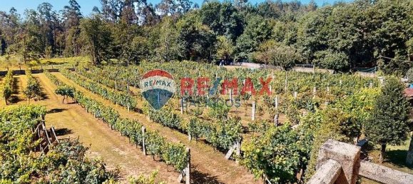 6 bedrooms House in Pontevedra, Spain No. 184146 10