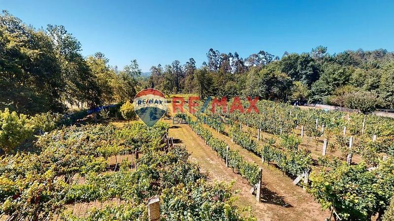 6 bedrooms House in Pontevedra, Spain No. 184146