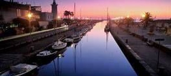 2 rooms Apartment in Viareggio, Italy No. 40631 16