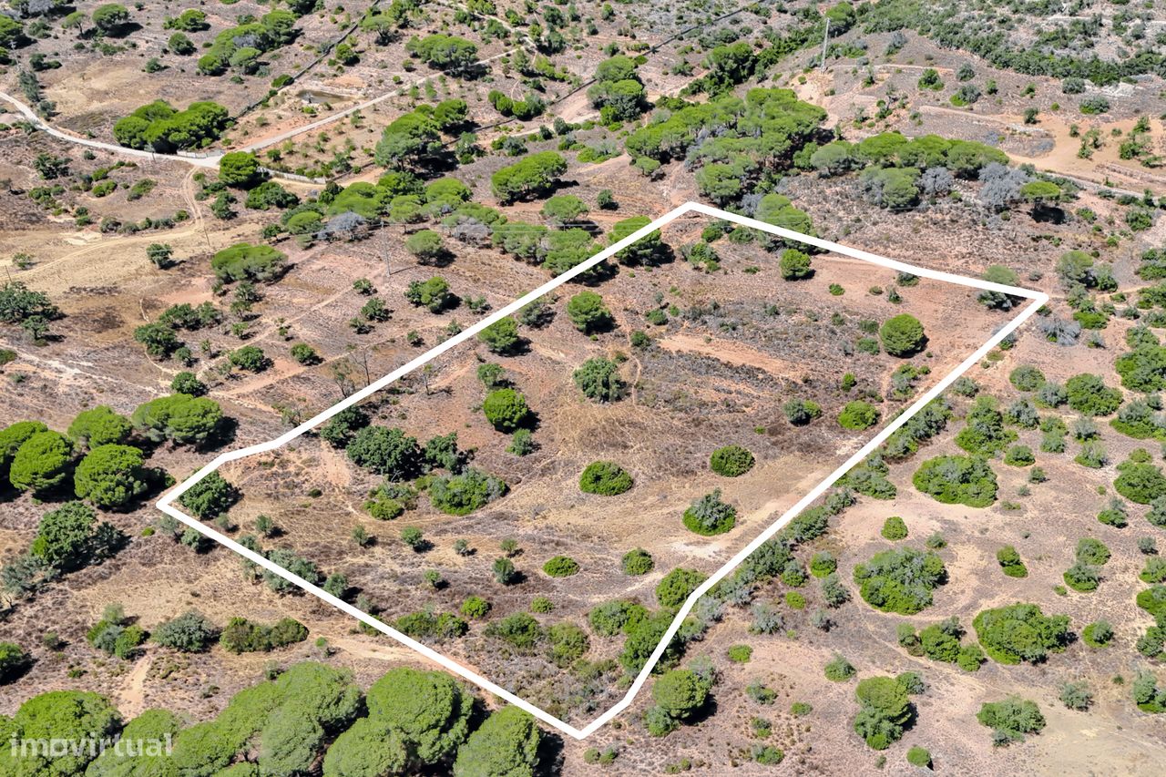 15800m² Land in Paderne, Portugal No. 323786