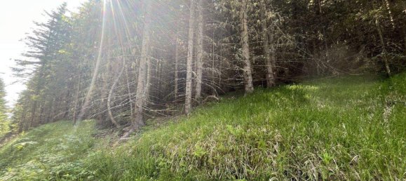 Land in Tamsweg, Austria No. 159006 11