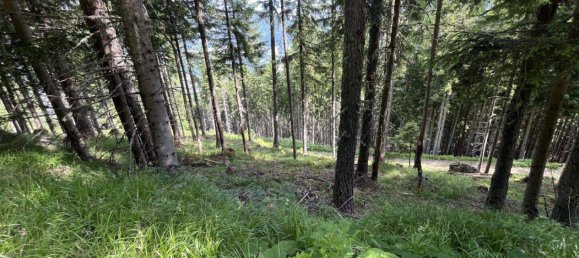 Land in Tamsweg, Austria No. 159006 16
