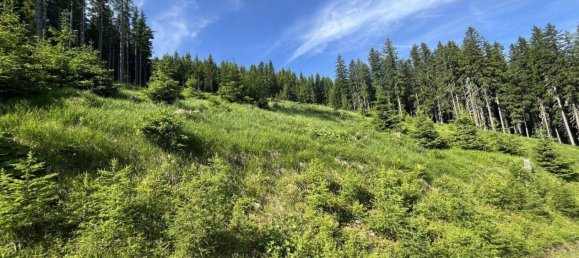 Land in Tamsweg, Austria No. 159006 3