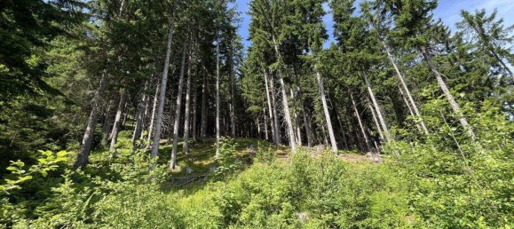 Land in Tamsweg, Austria No. 159006 8