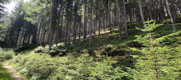 Land in Tamsweg, Austria No. 159006 17