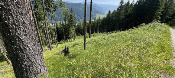 Land in Tamsweg, Austria No. 159006 14