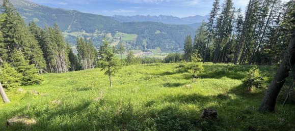 Land in Tamsweg, Austria No. 159006 2