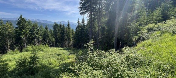 Land in Tamsweg, Austria No. 159006 4