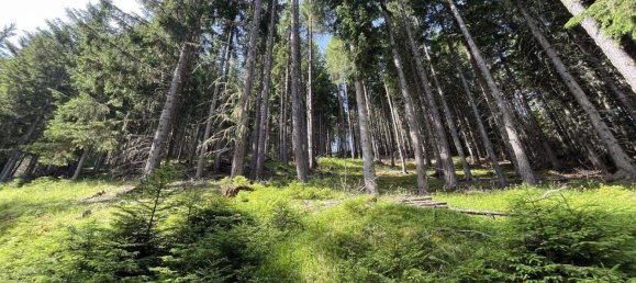 Land in Tamsweg, Austria No. 159006 7