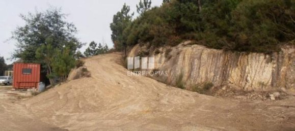 Grundstück in Marco de Canaveses, Portugal 22250m², Nr. 59407 3