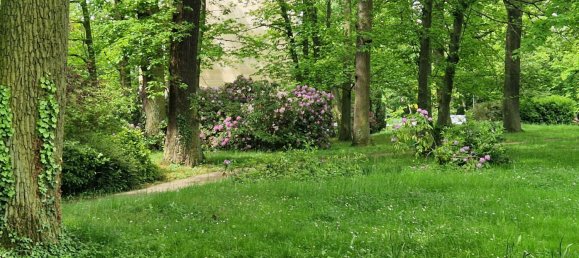 4 bedrooms Apartment in Vaucresson, France No. 172311 11